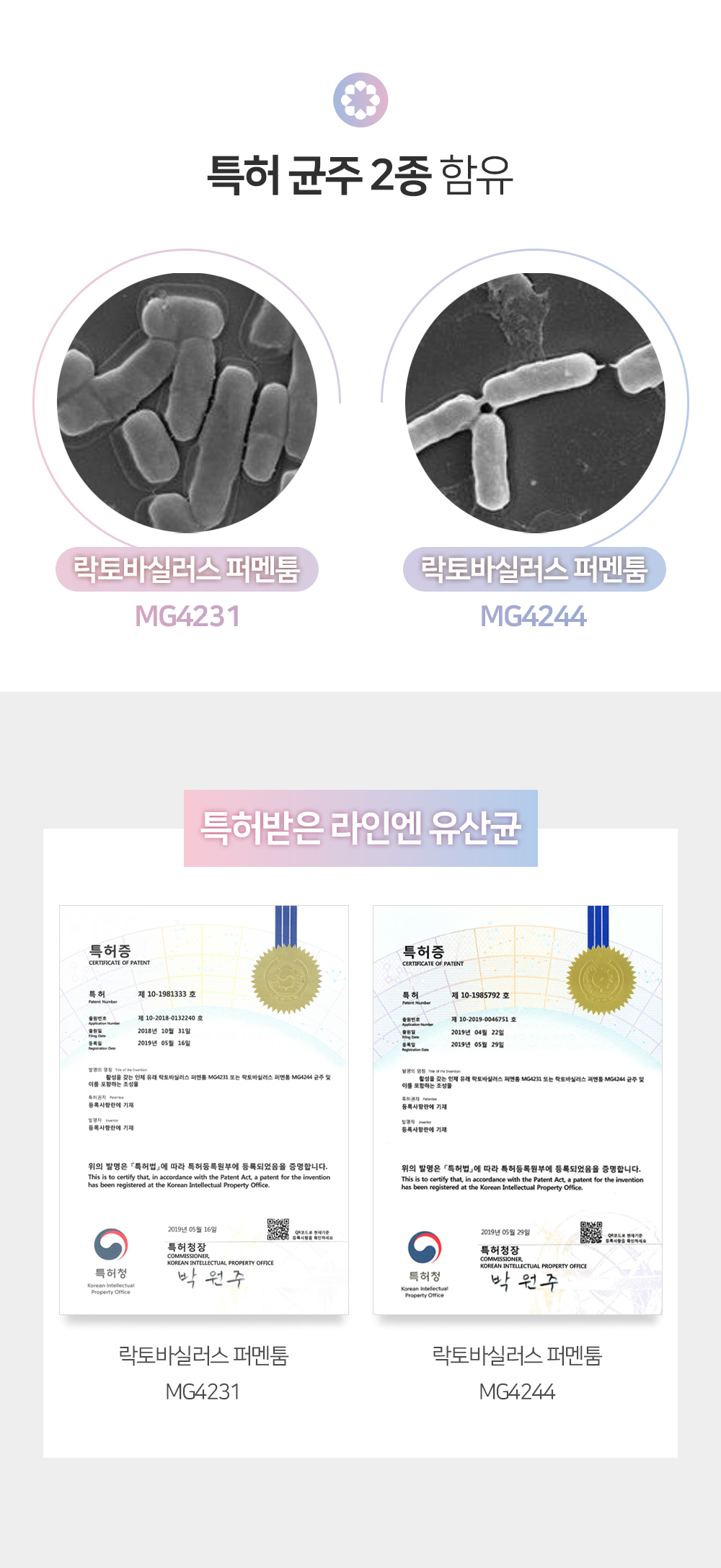 아이힐 라인엔 유산균 상세페이지 4