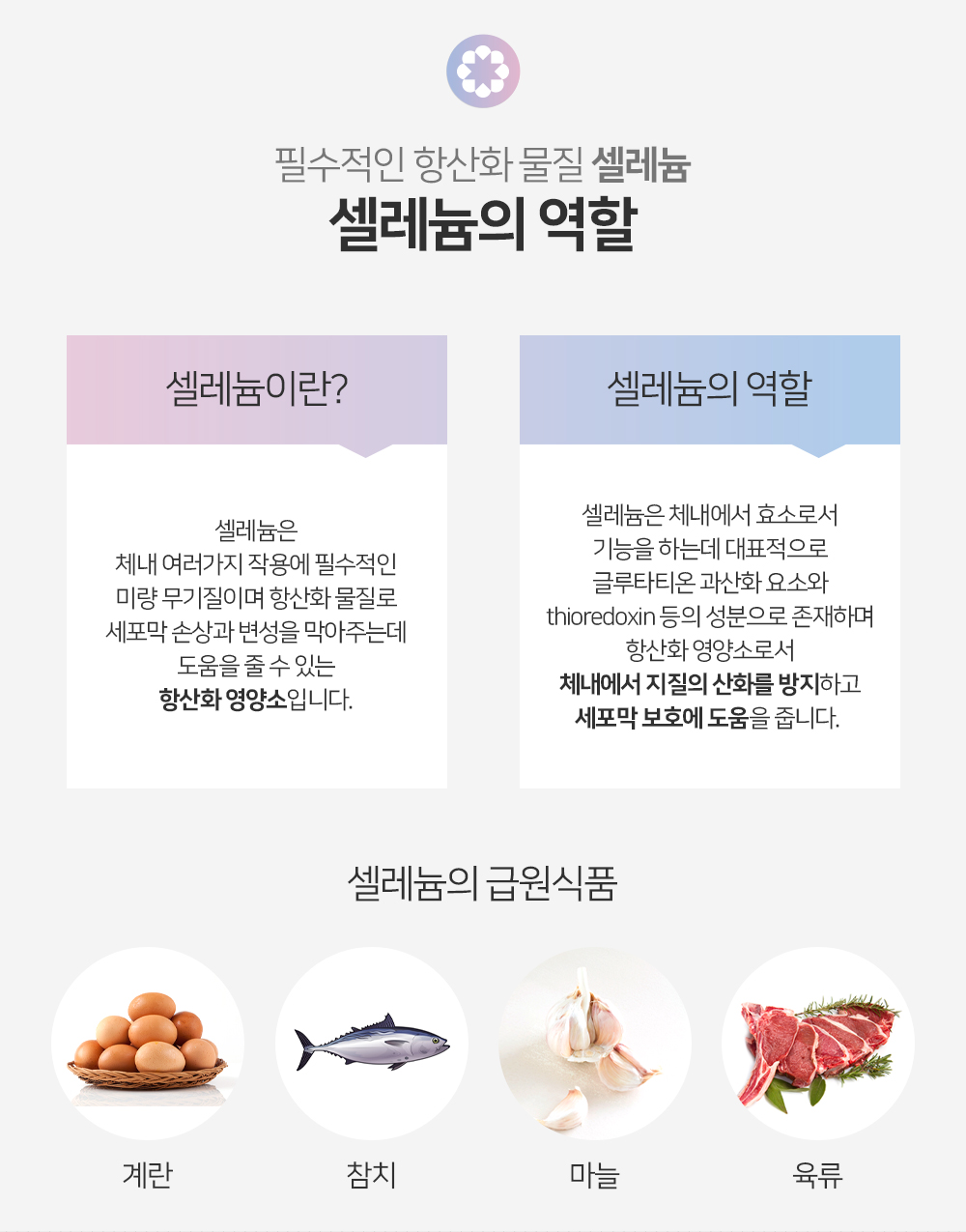 아이힐 라인엔 유산균 상세페이지 6