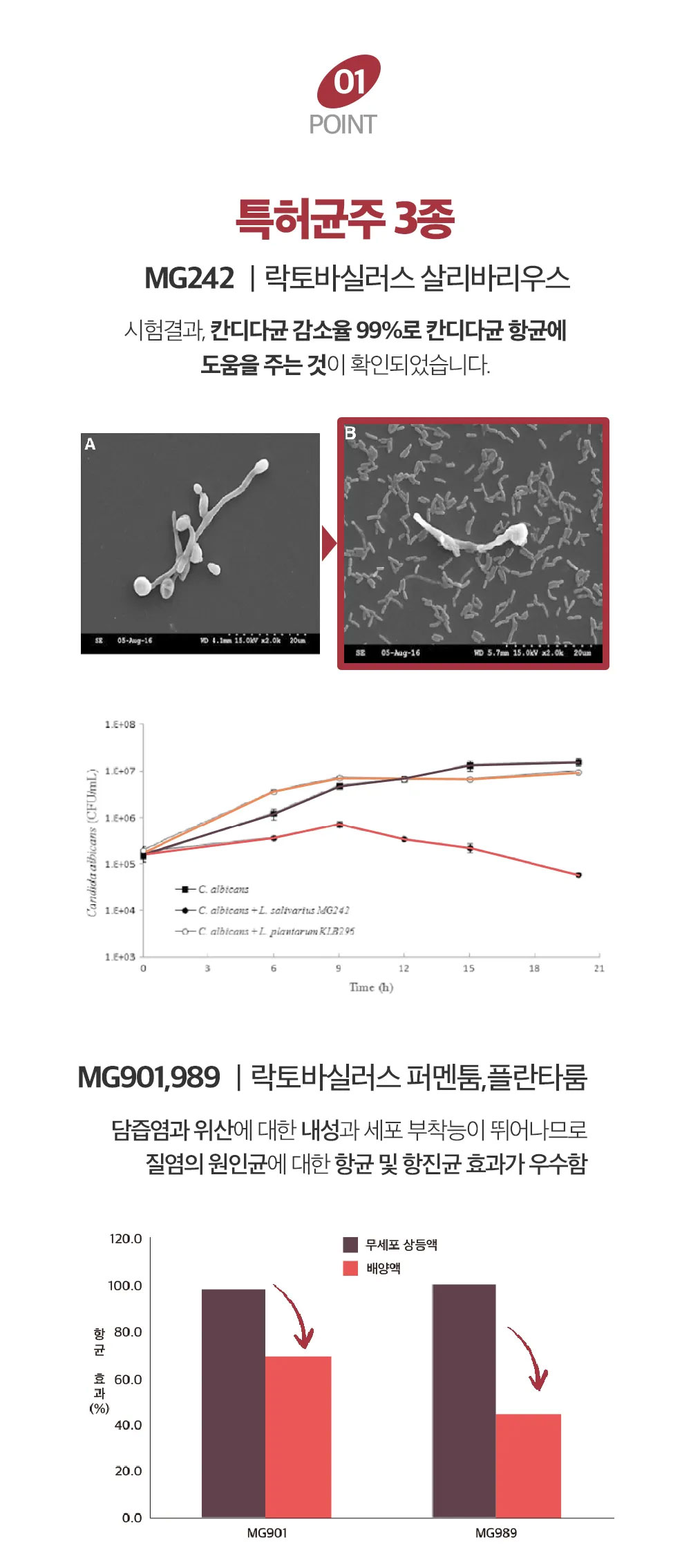 아이힐 비너스 유산균 스틱 상세페이지 4